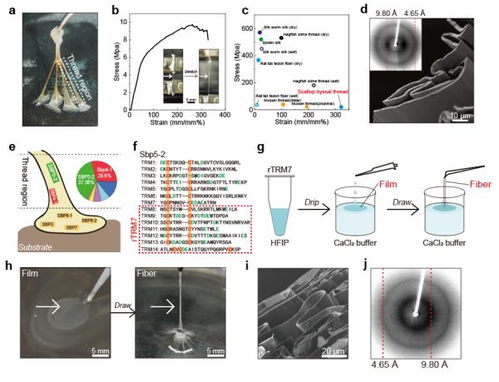 近期生物材料頂刊成果中的磁電及磁性材料研發進展匯總